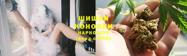 бошки Ладушкин