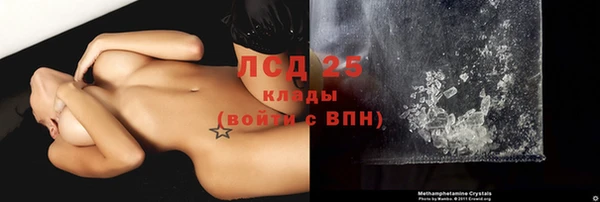 гидра Кукмор