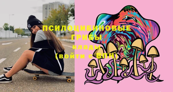 мяу мяу мука Кулебаки