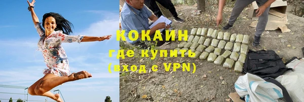 гидра Кукмор