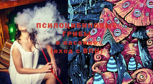 бошки Ладушкин